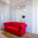 Album Boutique סאסארי